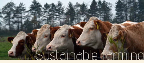 Gippsland Farm Solutions